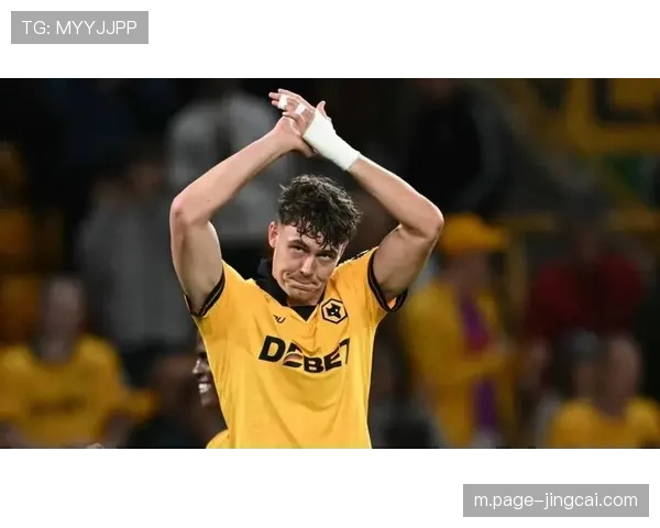 狼队出售拉尔森获4800万镑 阿姆斯特朗戈梅斯着眼未来 狼队出售拉尔森获4800万镑 阿姆斯特朗戈梅斯着眼未来